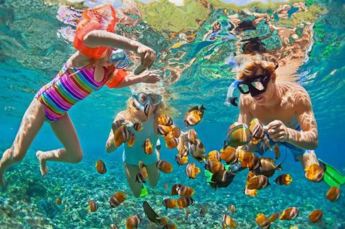 8 Recommendations for the Best Bali Tour Packages That Must Be Visited