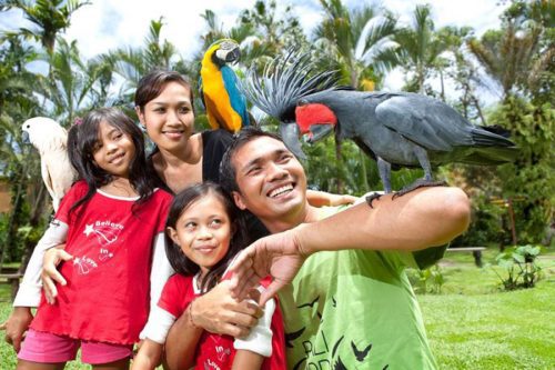 8 Recommendations for the Best Bali Tour Packages That Must Be Visited