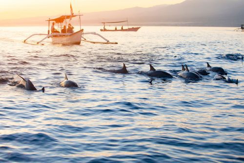 8 Recommendations for the Best Bali Tour Packages That Must Be Visited