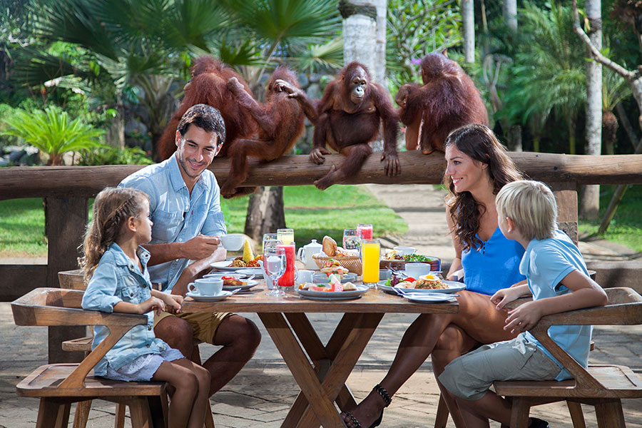 98-(Breakfast-with-Orangutan