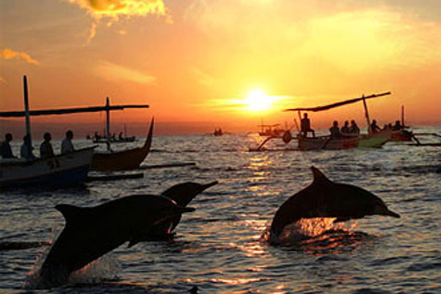 Attraction of Lovina Beach Can Watching Dolphins